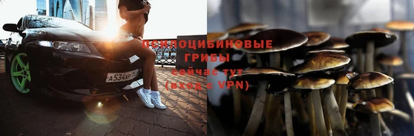 Альфа ПВП Козельск