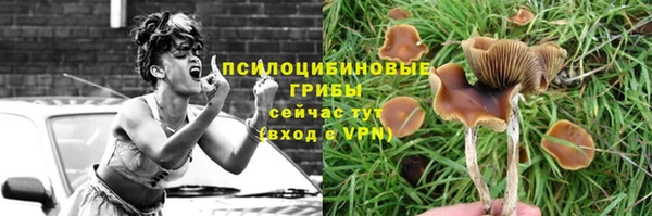 Альфа ПВП Козельск