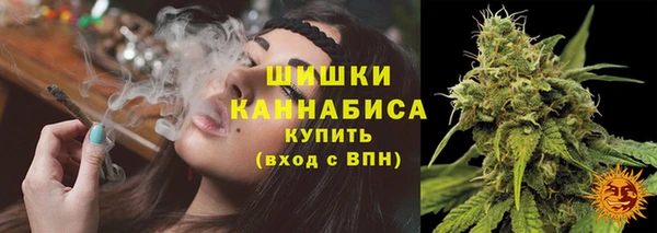 Альфа ПВП Козельск
