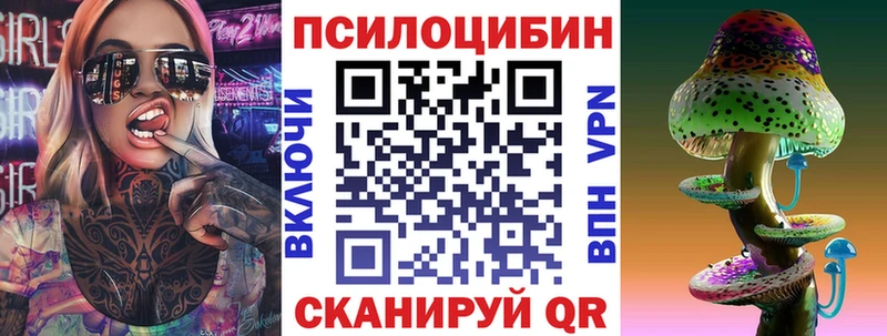 Купить  Афипский  Псилоцибиновые грибы Cubensis 
