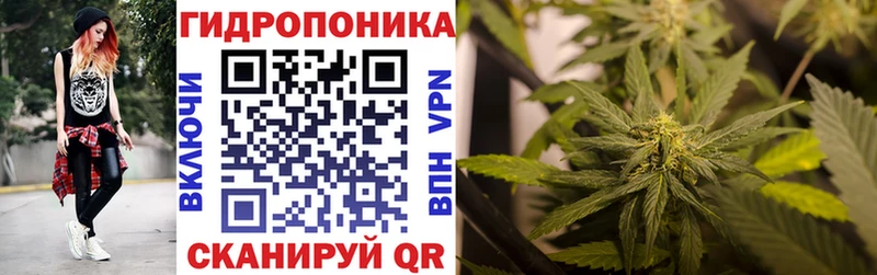 Купить где  Афипский  Бошки марихуана AK-47 